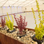 Wrotkowisko, rolkowisko / Marzena Mąkosa / Radio Kielce