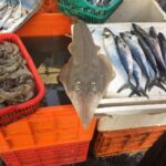 Indie / Kamila Bodo i Dinesh Sampath / Radio Kielce