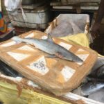 Indie / Kamila Bodo i Dinesh Sampath / Radio Kielce