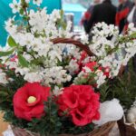 Nowe. Wojewódzkie Święto Kwitnącej Wiśni / Emilia Sitarska / Radio Kielce