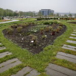 Ogród Botaniczny w Kielcach / Marzena Mąkosa / Radio Kielce