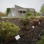 Ogród Botaniczny w Kielcach / Marzena Mąkosa / Radio Kielce