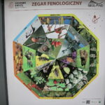 Ogród Botaniczny w Kielcach / Marzena Mąkosa / Radio Kielce