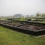 Ogród Botaniczny w Kielcach / Marzena Mąkosa / Radio Kielce