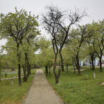 Ogród Botaniczny w Kielcach / Marzena Mąkosa / Radio Kielce