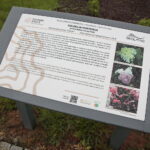 Ogród Botaniczny w Kielcach / Marzena Mąkosa / Radio Kielce