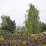 Ogród Botaniczny w Kielcach / Marzena Mąkosa / Radio Kielce