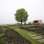 Ogród Botaniczny w Kielcach / Marzena Mąkosa / Radio Kielce