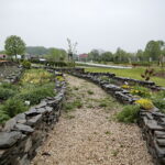 Ogród Botaniczny w Kielcach / Marzena Mąkosa / Radio Kielce