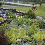 Ogród Botaniczny w Kielcach / Marzena Mąkosa / Radio Kielce