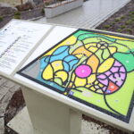 Ogród Botaniczny w Kielcach / Marzena Mąkosa / Radio Kielce