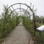 Ogród Botaniczny w Kielcach / Marzena Mąkosa / Radio Kielce