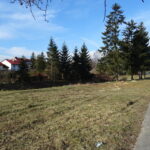 Promenada nad Opatówką / Emilia Sitarska / Radio Kielce