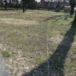 Promenada nad Opatówką / Emilia Sitarska / Radio Kielce