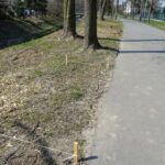 Promenada nad Opatówką / Emilia Sitarska / Radio Kielce