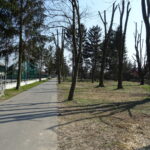 Promenada nad Opatówką / Emilia Sitarska / Radio Kielce