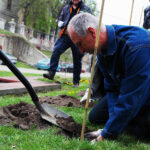 Opatów. Piknik enologiczny i otwarcie pierwszej w regionie miejskiej winnicy / Emilia Sitarska / Radio Kielce