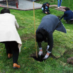 Opatów. Piknik enologiczny i otwarcie pierwszej w regionie miejskiej winnicy / Emilia Sitarska / Radio Kielce