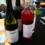 Opatów. Piknik enologiczny i otwarcie pierwszej w regionie miejskiej winnicy / Emilia Sitarska / Radio Kielce