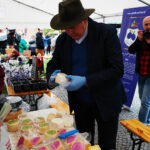 Opatów. Piknik enologiczny i otwarcie pierwszej w regionie miejskiej winnicy / Emilia Sitarska / Radio Kielce