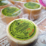 Opatów. Piknik enologiczny i otwarcie pierwszej w regionie miejskiej winnicy / Emilia Sitarska / Radio Kielce