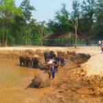 Tajlandia / Paweł Suder i Anna Kaniszewska