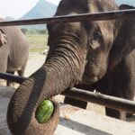 Tajlandia / Paweł Suder i Anna Kaniszewska