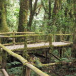 Tajlandia / Paweł Suder i Anna Kaniszewska