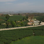 Tajlandia / Paweł Suder i Anna Kaniszewska