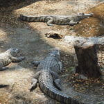 Tajlandia / Paweł Suder i Anna Kaniszewska