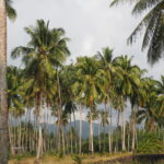 Tajlandia / Paweł Suder i Anna Kaniszewska