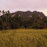 Tajlandia / Paweł Suder i Anna Kaniszewska