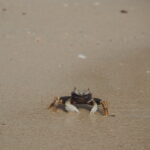 Tajlandia / Paweł Suder i Anna Kaniszewska