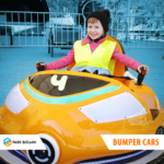 Atrakcje w Parku Bolmin / Park Bolmin / Park Bolmin