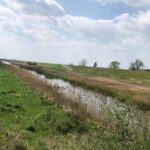 Rowerowa majówka z Radiem Kielce - Żółty szlak rowerowy dookoła Sandomierza "Sandomierskie krajobrazy". Na zdjęciu: rzeka Trześniówka / Radio Kielce