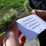 Przedświąteczna kontrola kierowców na krajowej 9 / Emilia Sitarska / Radio Kielce