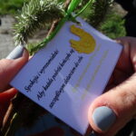 Przedświąteczna kontrola kierowców na krajowej 9 / Emilia Sitarska / Radio Kielce