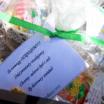 Przedświąteczna kontrola kierowców na krajowej 9 / Emilia Sitarska / Radio Kielce