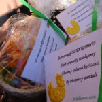 Przedświąteczna kontrola kierowców na krajowej 9 / Emilia Sitarska / Radio Kielce