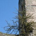 Tudorów. Średniowieczna wieża / Emilia Sitarska / Radio Kielce