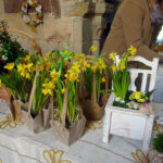 Wąchock. Jarmark wielkanocny w klasztorze ojców cystersów / Anna Głąb / Radio Kielce