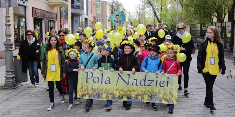 „Marszem żonkili” rozpoczęła się w województwie świętokrzyskim społeczna kampania „Pola Nadziei”. / Wojciech Habdas / Radio Kielce