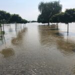 Sandomierz. Bulwar nadwiślański. Podtopienie / Grażyna Szlęzak-Wójcik / Radio Kielce