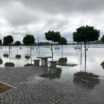 Sandomierz. Zalany nadwiślański bulwar / Grażyna Szlęzak-Wójcik / Radio Kielce
