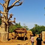 Scyzoryki wzdłuż Afryki / L. Pisarski, K. Skoczek, J. Słowak, Sz. Flak, W. Matejczuk