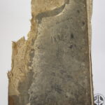 Jedna z przekazanych ksiąg metrykalnych wymagająca dezynfekcji / Archiwum Diecezjalne