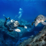 Podwodna przygoda / Irena Stangierska