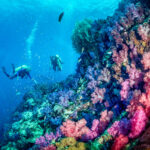 Podwodna przygoda / Irena Stangierska