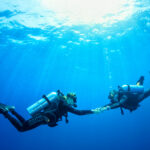 Podwodna przygoda / Irena Stangierska