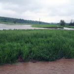 Gmina Skalbmierz. Ulewne deszcze przeszły przez gminę Skalbmierz (23.05.2019) / Urząd Miasta i Gminy Skalbmierz